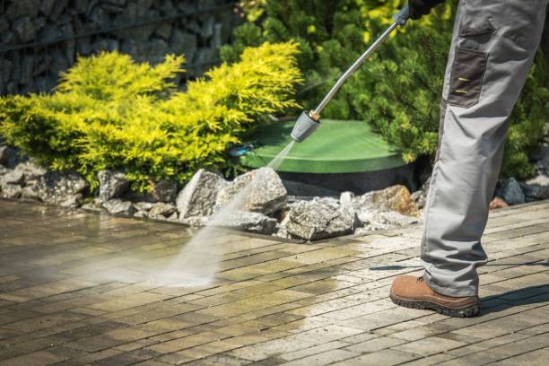 Best Patio and Deck Pressure Washing  in Thorp, WI